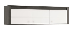 Plaukts ID-10862
