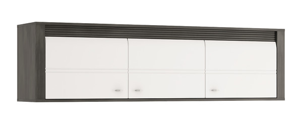 Plaukts ID-10862