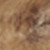 Kumode ID-11946
