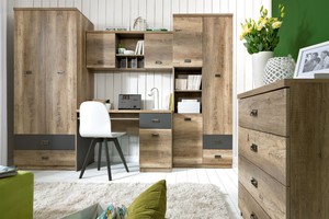 Sienas plaukts ID-12666