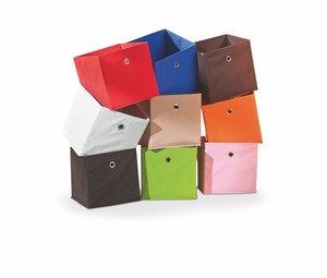 Plaukts-ieliknis ID-14999
