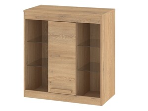 Plaukts ar durvīm ID-16080