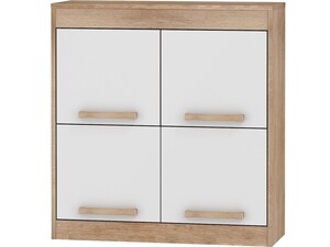 Plaukts ar durvīm ID-16088