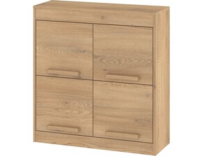 Plaukts ar durvīm ID-16088
