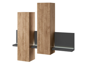 Shelf with doors ID-22846