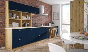 Dishwasher panel Bonn ZM/45
