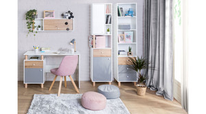 Sienas plaukts Fina FR13