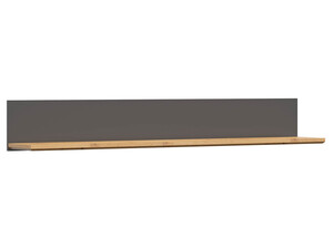 Plaukts ID-25709