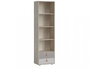 Plaukts ID-26907