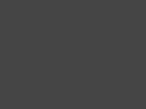 Skapis cepeškrāsnij Wood D14/RU/2A 284 KOMPAKT