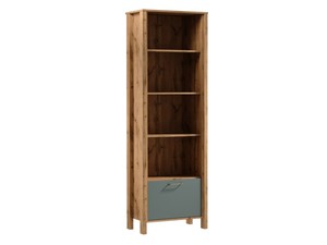 Plaukts Indiana R1K