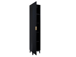 Cabinet with shelves Lance typ17