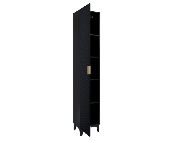 Cabinet with shelves Lance typ17