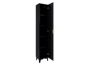 Cabinet with shelves Lance typ17