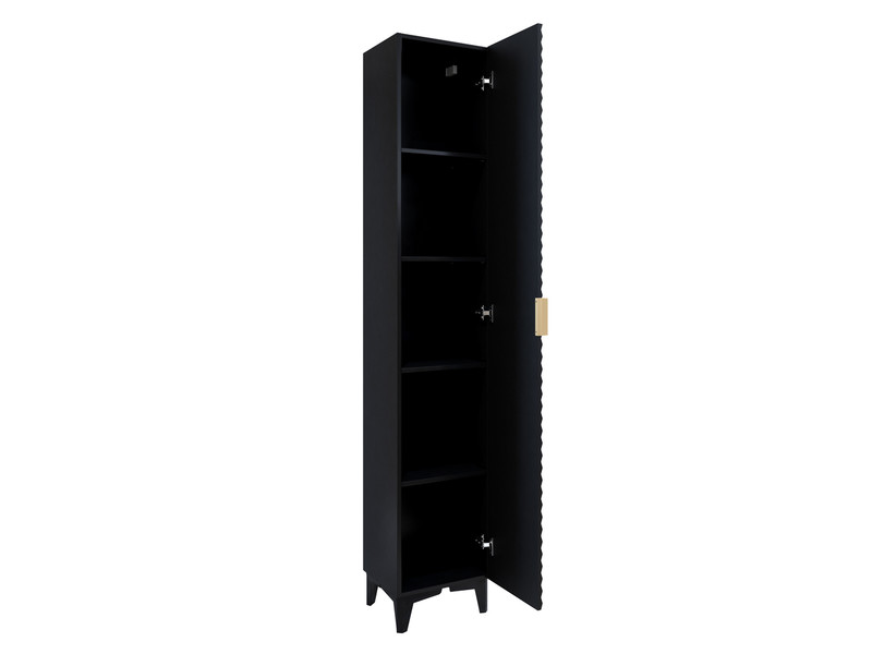 Cabinet with shelves Lance typ17