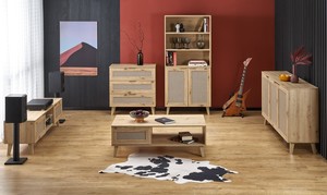 Plaukts ID-28921