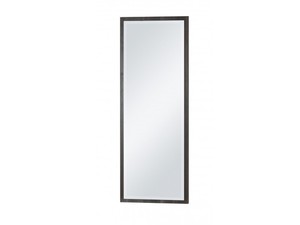 Spogulis ID-8749